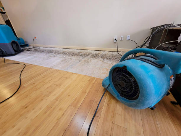 Professional Flood Damage Cleanup technician working in Lewiston, ID